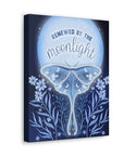 Renewed by the Moonlight Canvas Gallery Wraps