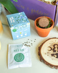 Mother Gaia Box