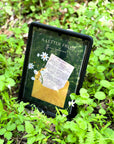 Monthly Spiritual Subscription Box 2025 | Goddess Provisions