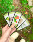 Monthly Spiritual Subscription Box 2025 | Goddess Provisions