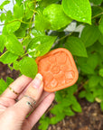 Monthly Spiritual Subscription Box 2025 | Goddess Provisions
