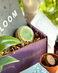 Mother Gaia Box
