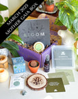 Mother Gaia subscription box with spiritual and self-care tools designed to nurture mindfulness, grounding, and a sacred connection with Mother Earth.