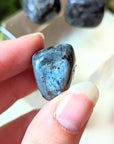 Tumbled Larvakite available at Goddess Provisions
