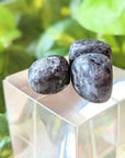 Tumbled Larvakite available at Goddess Provisions