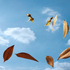 Evoke Elevating Qualities of the Air Element by Goddess Provisions