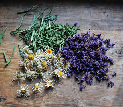 5 Herbs to Include on Your Altar