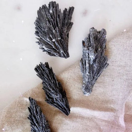 Raw black kyanite crystal with fibrous fanned-out dark gray formation, used for shadow work and cord cutting