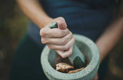 A witches guide to using herbs in spellwork