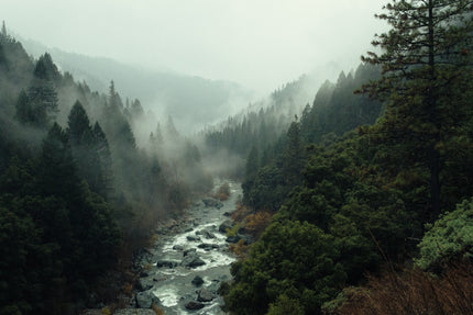 How to Bring Forest Bathing into Your Home Goddess Provisions