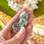Mother Gaia Box