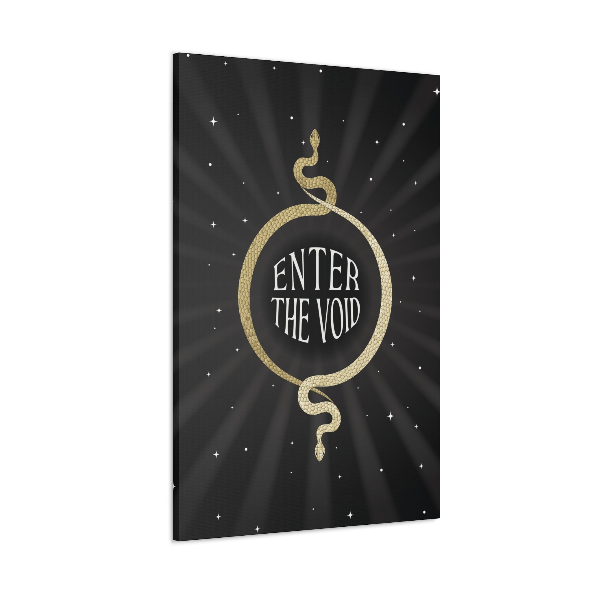 Enter The Void Canvas Gallery Wraps