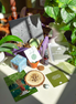 Mother Gaia Box