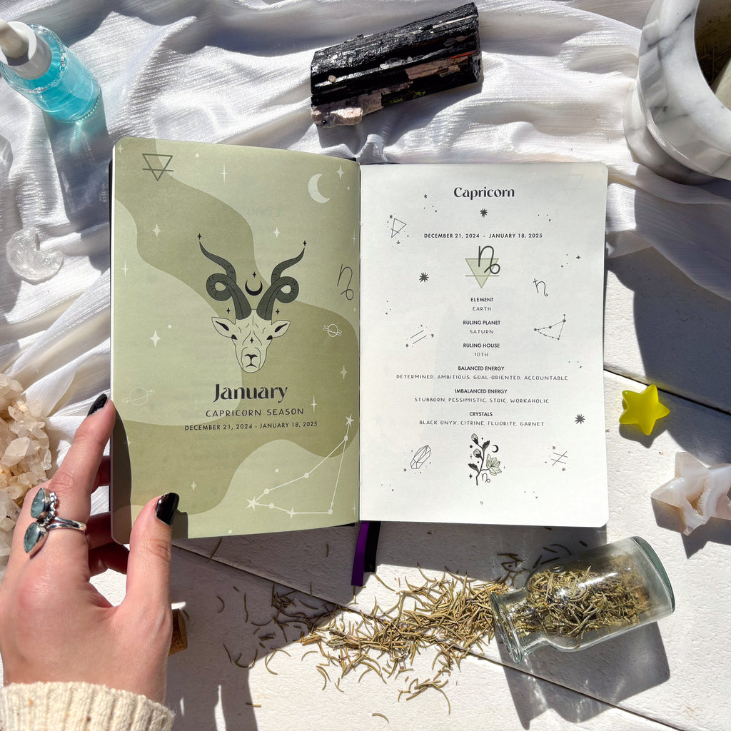 2025 moon planner Lunar planner Moon Planner Capricorn January witchcraft Metaphysical store near me.