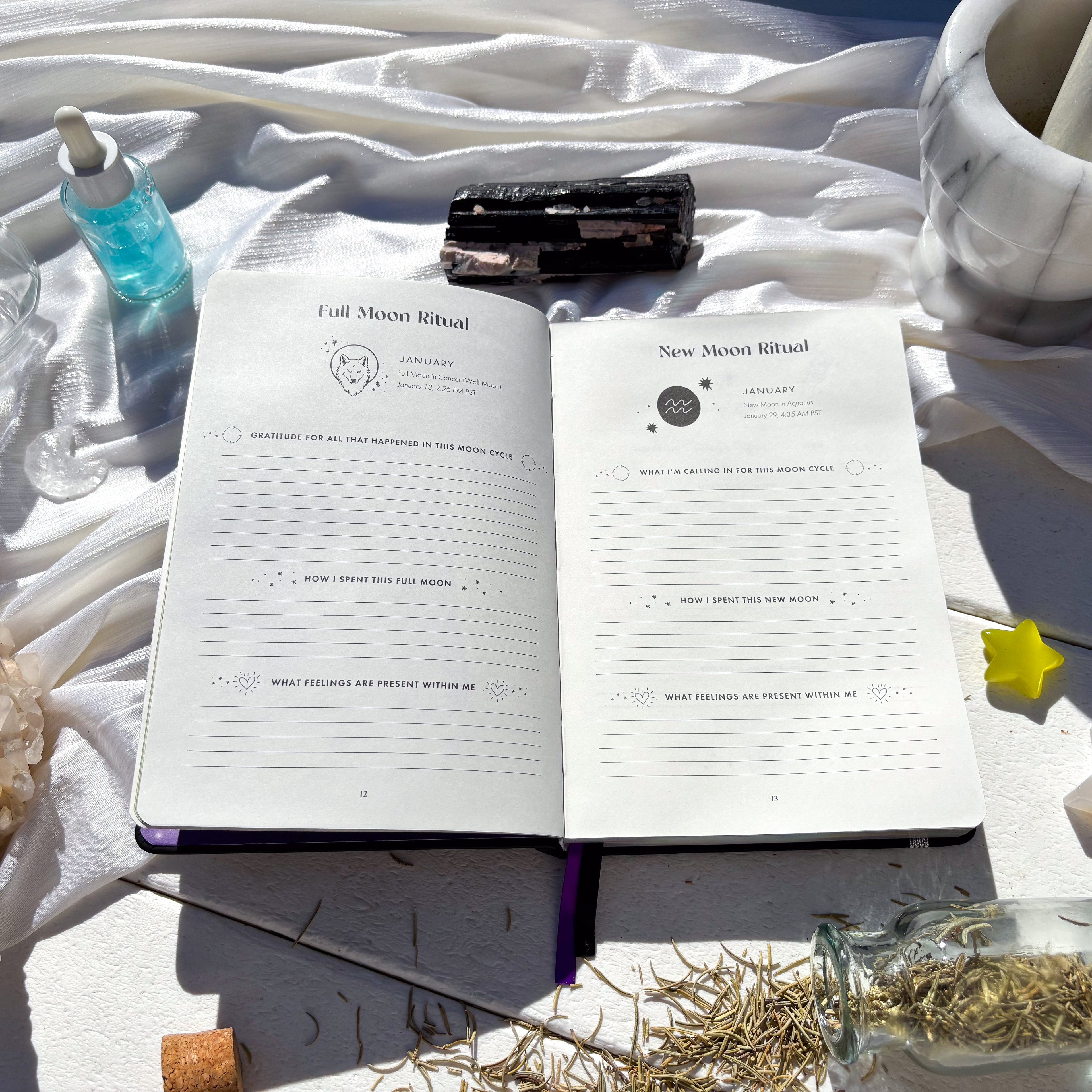 2025 Moon planner Lunar Planner on Full Moon Ritual