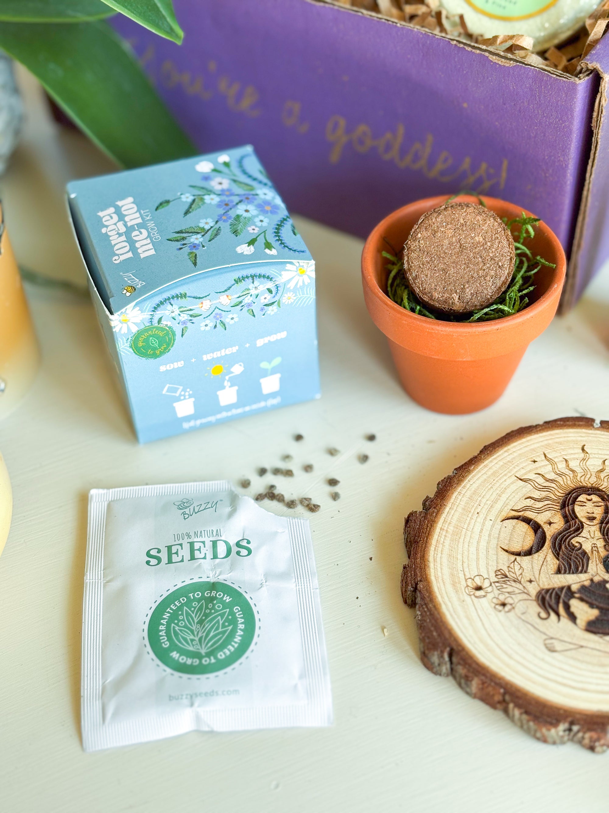 Mother Gaia Box