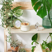 Organic Abundance Intention Candle