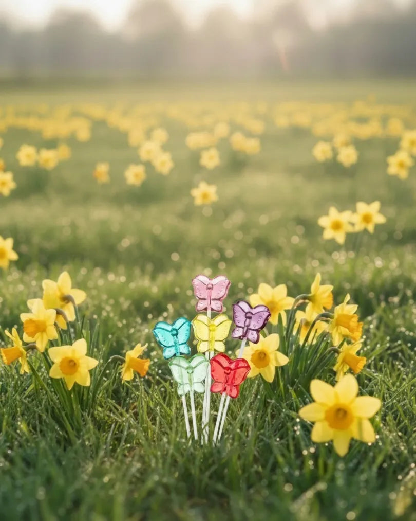 Colorful butterfly-shaped lollipops adding a playful touch to ritual or altar spaces.