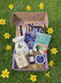 Box of self-care items including a diffuser, books, and candles on grass with daffodils.