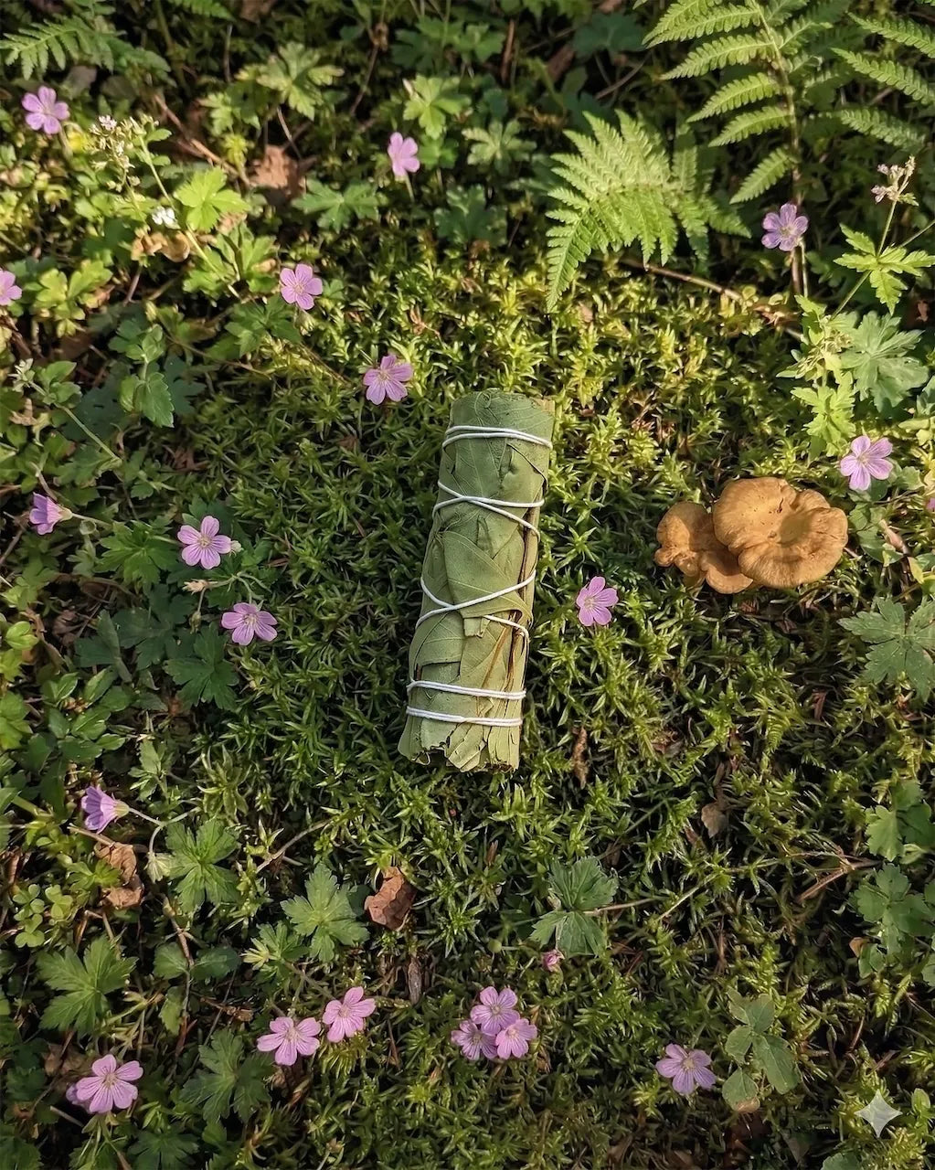 eucalyptus smudge bundle for energy cleansing, spiritual rituals, and space clearing