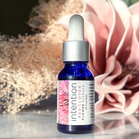 Intention essence. Red Clover flower essence