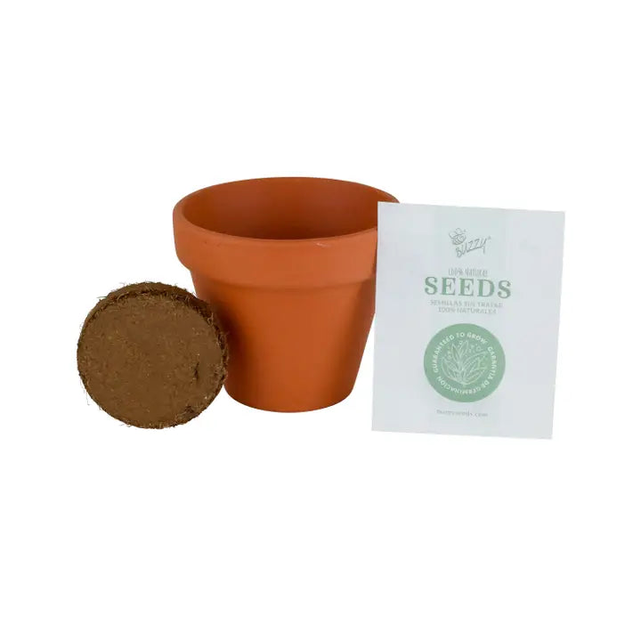 Forget Me Not Mini Grow Kit - Seeds - Gardening - Goddess Provisions
