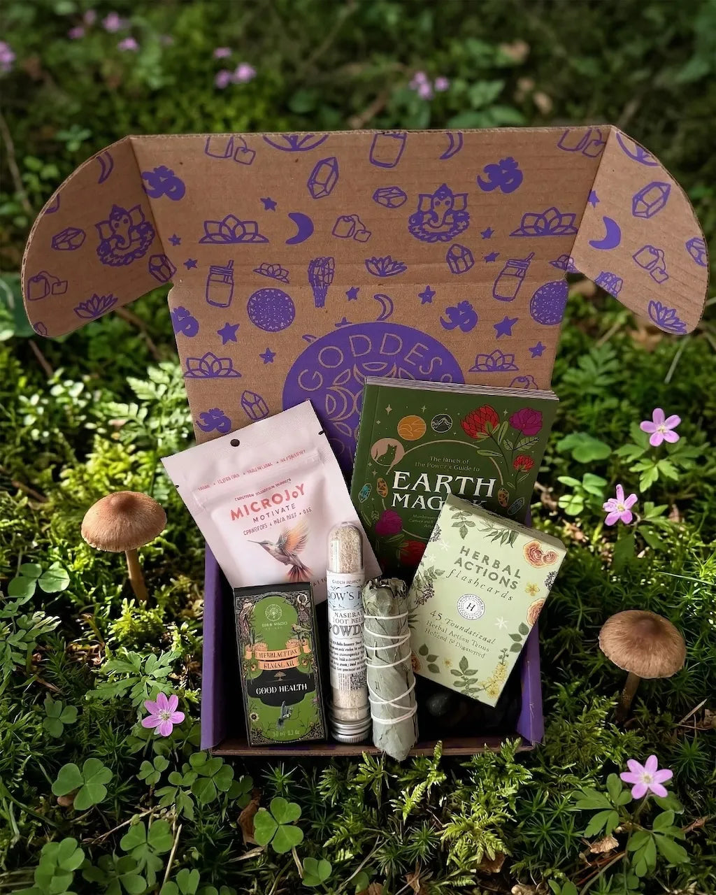 wellness subscription box with herbal flashcards, mushroom gummies, oils, foot soak, eucalyptus, and moss agate crystal