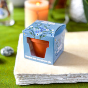 Forget Me Not Mini Grow Kit - Seeds - Gardening - Goddess Provisions