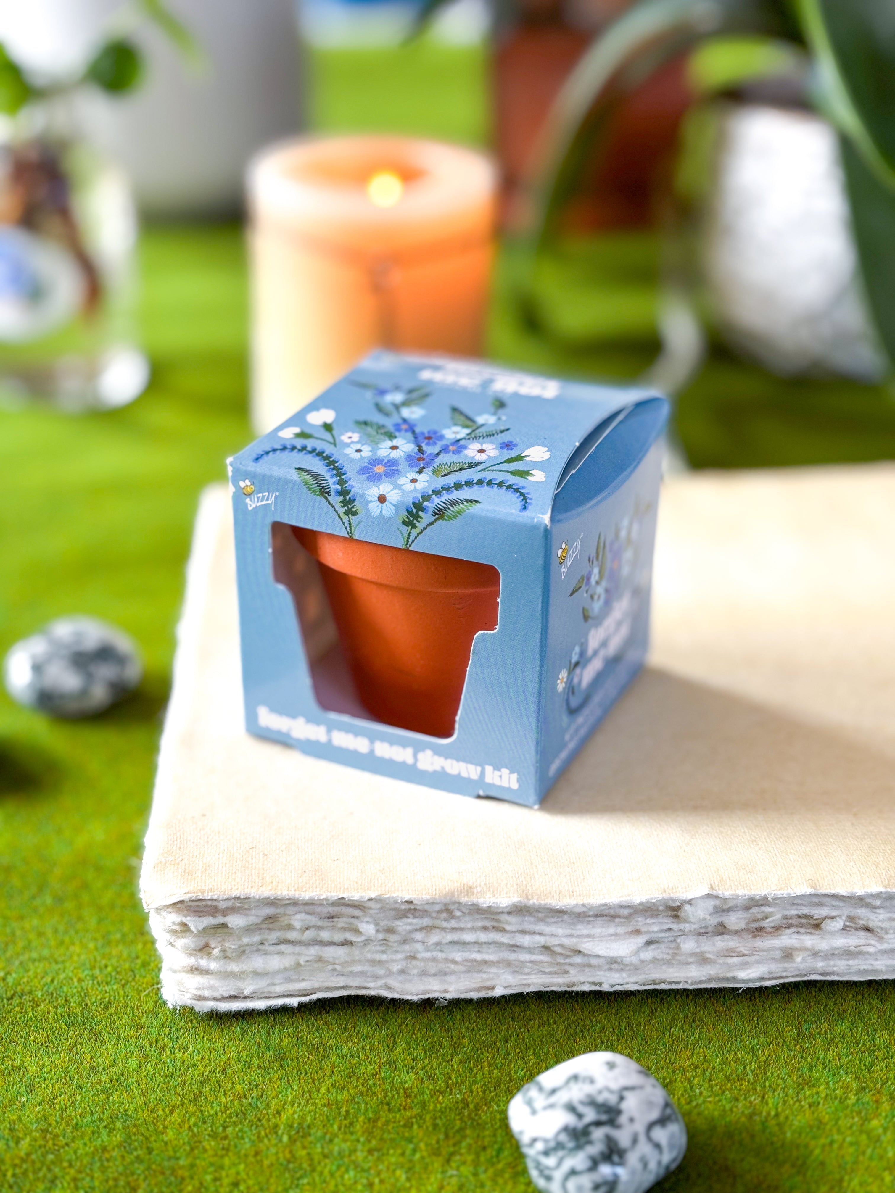 Forget Me Not Mini Grow Kit - Seeds - Gardening - Goddess Provisions