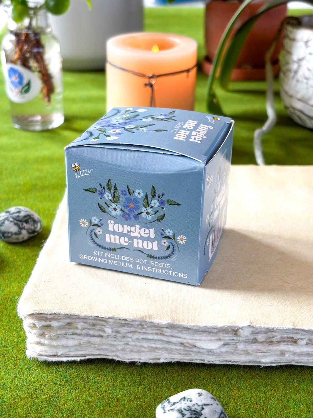 Forget Me Not Mini Grow Kit - Seeds - Gardening - Goddess Provisions