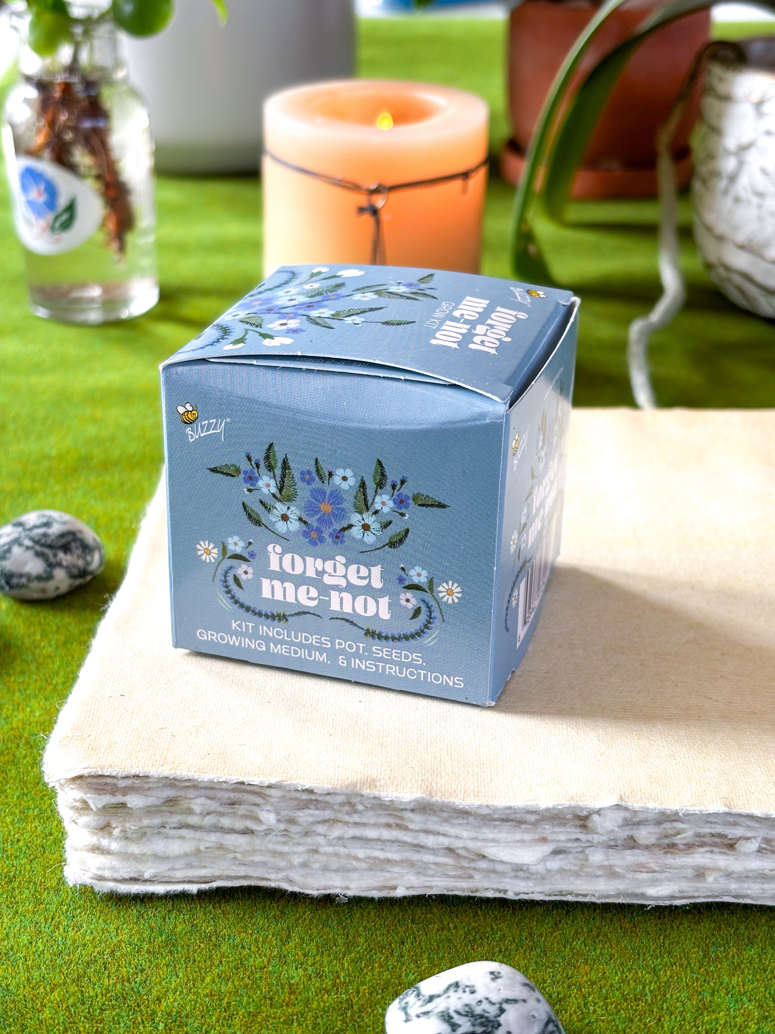 Forget Me Not Mini Grow Kit - Seeds - Gardening - Goddess Provisions