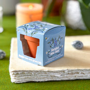 Forget Me Not Mini Grow Kit - Seeds - Gardening - Goddess Provisions
