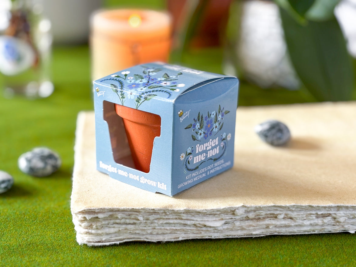 Forget Me Not Mini Grow Kit - Seeds - Gardening - Goddess Provisions