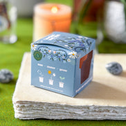 Forget Me Not Mini Grow Kit - Seeds - Gardening - Goddess Provisions
