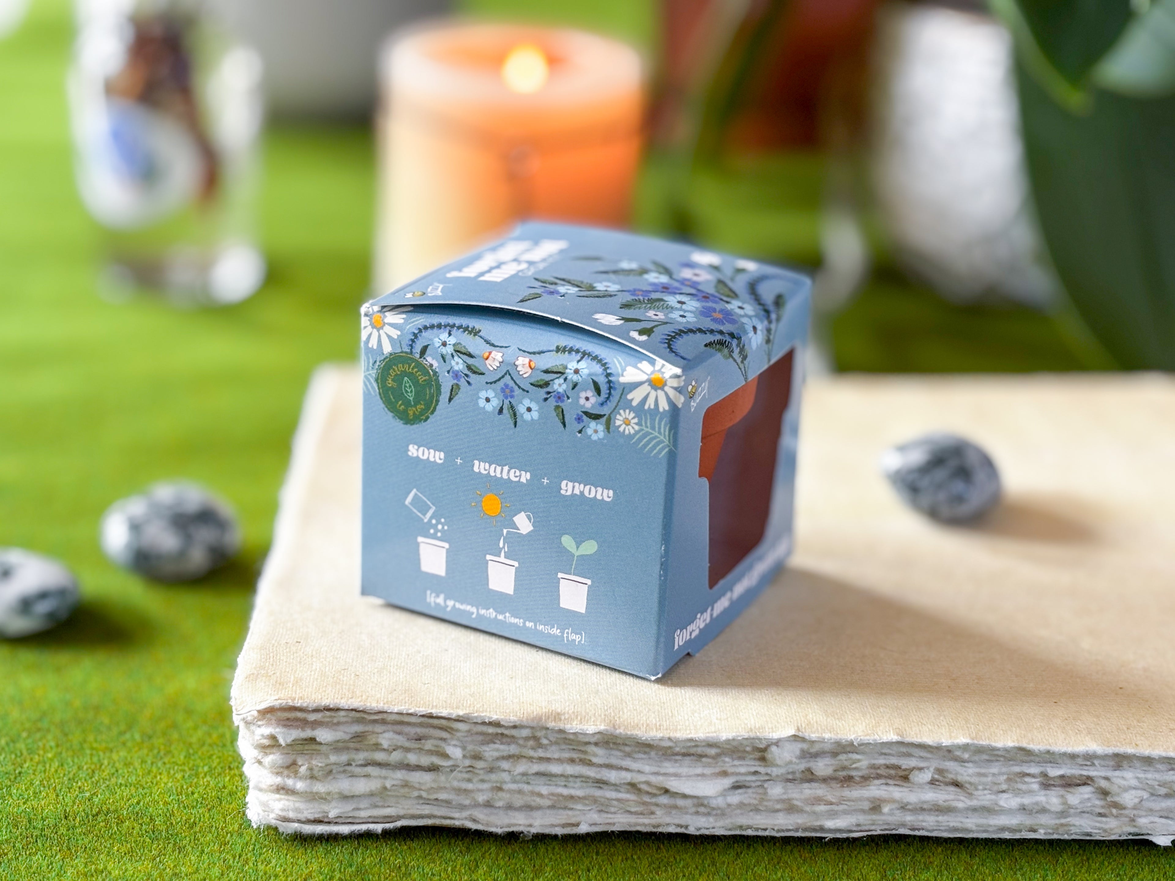 Forget Me Not Mini Grow Kit - Seeds - Gardening - Goddess Provisions