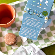 Forget Me Not Mini Grow Kit - Seeds - Gardening - Goddess Provisions