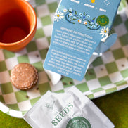 Forget Me Not Mini Grow Kit - Seeds - Gardening - Goddess Provisions
