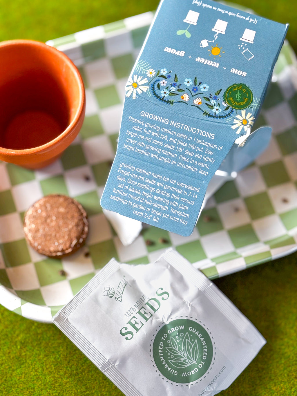 Forget Me Not Mini Grow Kit - Seeds - Gardening - Goddess Provisions