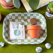 Forget Me Not Mini Grow Kit - Seeds - Gardening - Goddess Provisions