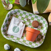 Forget Me Not Mini Grow Kit - Seeds - Gardening - Goddess Provisions