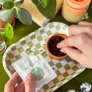 Forget Me Not Mini Grow Kit - Seeds - Gardening - Goddess Provisions
