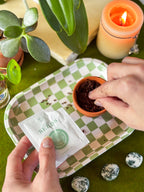 Forget Me Not Mini Grow Kit - Seeds - Gardening - Goddess Provisions