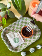 Forget Me Not Mini Grow Kit - Seeds - Gardening - Goddess Provisions