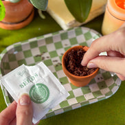 Forget Me Not Mini Grow Kit - Seeds - Gardening - Goddess Provisions