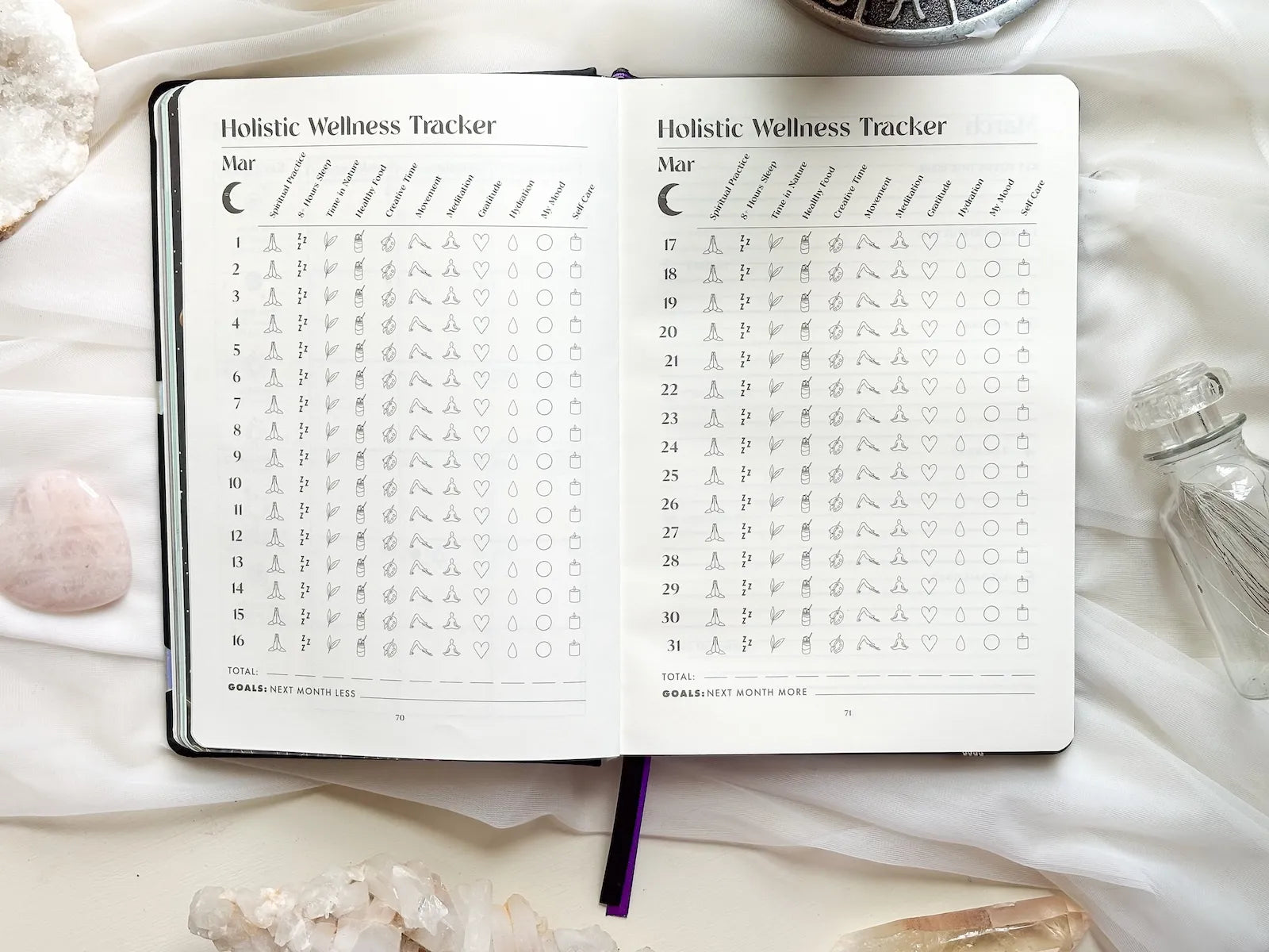 2026 Lunar Insights Planner - Goddess Provisions Exclusive