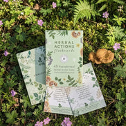 herbal actions flashcards for learning medicinal herbs and holistic wellness practices