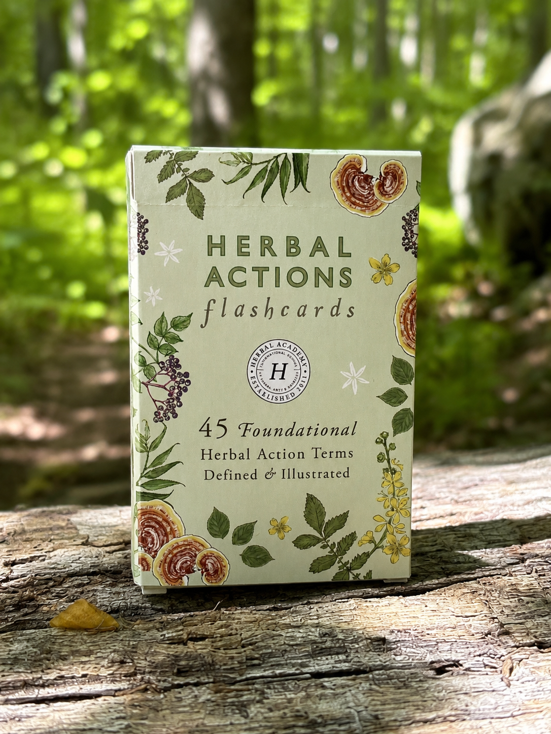 herbal actions flashcards for learning medicinal herb properties and herbal terminology