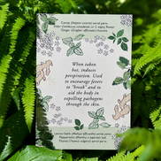 educational herbal flashcards for herbalists, plant medicine learning, and wellness studies