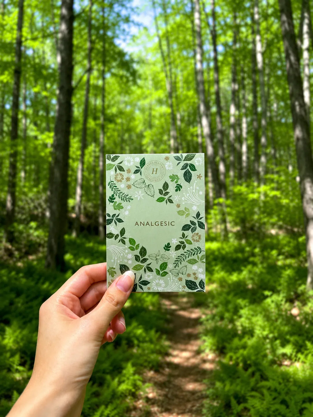 illustrated herbal study cards with botanical artwork and herbal action definitions