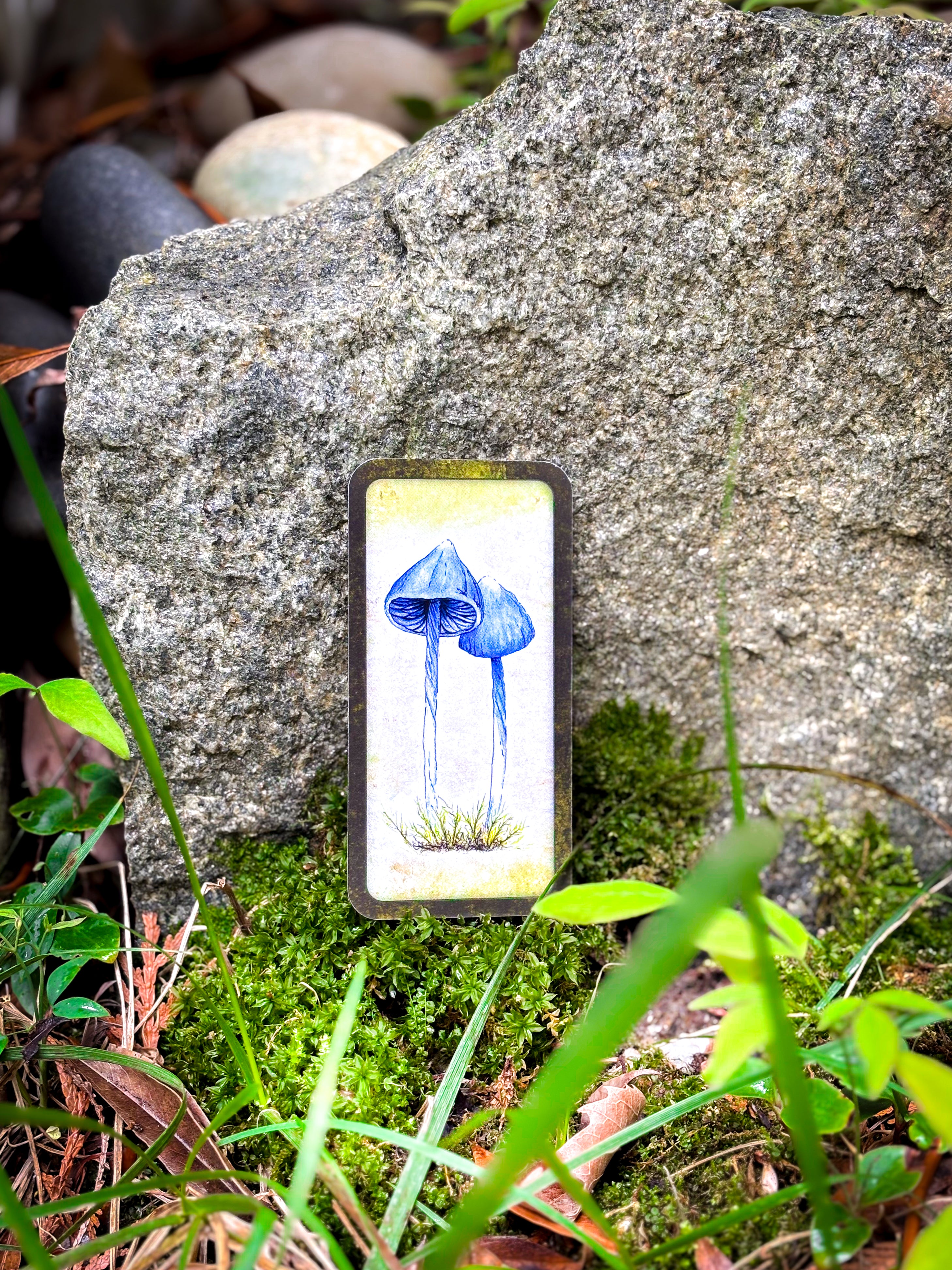 🍄 Affirmation cards for woman - Embrace Fungi Wisdom with the Mushroom Affirmation Deck - 40 Affirmation cards